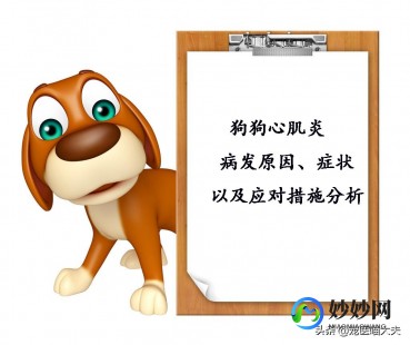 什么是心肌炎有啥症状,什么是心肌炎有什么症状