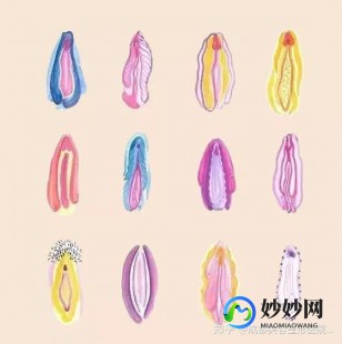 正常阴脣什么样子照片,正常的是什么样的