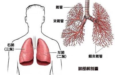 癌晚期,癌晚期是怎么样的