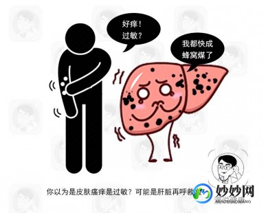 皮肤瘙痒和哪个内脏有关系,身上老是痒,跟肝有关系吗