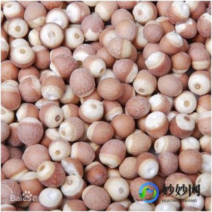 芡实茎,鸡头米杆子的功效与作用是什么
