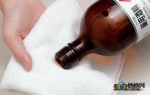 白酒擦拭退烧的正确方法,白酒擦拭退烧的正确方法