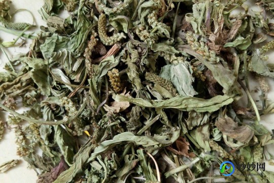 异功散,五味异功散的功效
