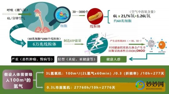 碳氢片是干啥的呀,碳氢对人体伤害有多大