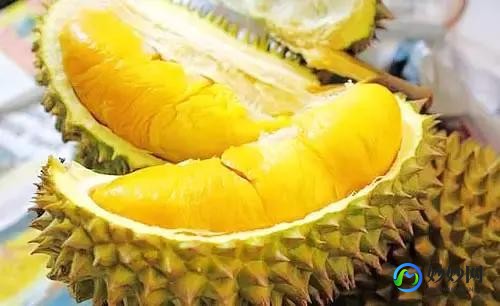 湿毒症状,湿毒的症状和治疗方法是什么