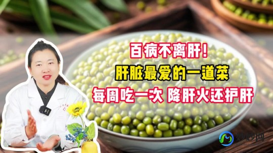 护肝养肝吃什么好,保肝护肝吃什么