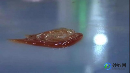 为什么做完之后下面流白色的液体,做完女生下面有白色粘稠物