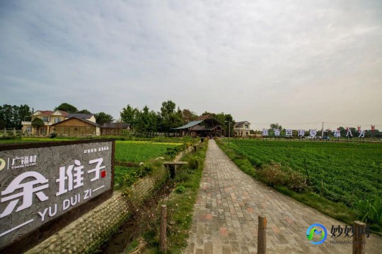qq农场最高等级,qq农场最高多少级,QQ农场最高等级揭秘,玩家可冲刺的256级