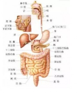 构造,构造图名称