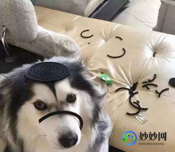 男童误喝蚊香液,误食蚊香液怎么办
