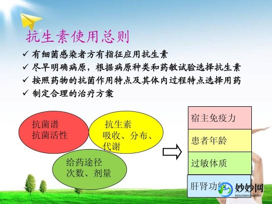 抗生素的合理应用,如何合理使用抗生素