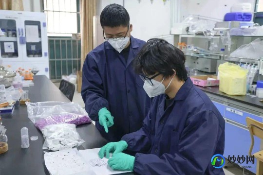 试剂盒使用方法图片,抗原检测试剂盒教程