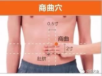 阴歉是哪个部位图,构造图名称