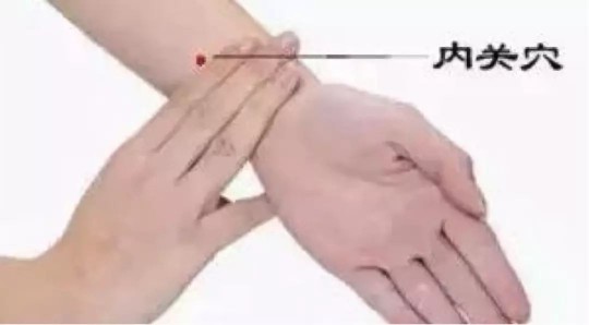 阴歉是哪个部位图,构造图名称