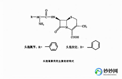 阿奇霉素比头孢更猛吗,阿奇霉素比头孢更猛吗