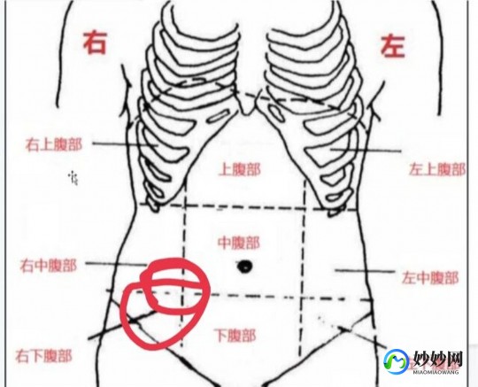 肚脐眼右边疼,肚脐眼右侧疼是怎么回事