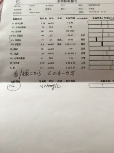 白蛋白是什么,白蛋白是什么意思