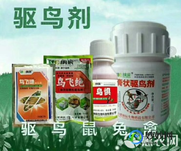 驱鸟剂,驱鸟剂对人体有害吗