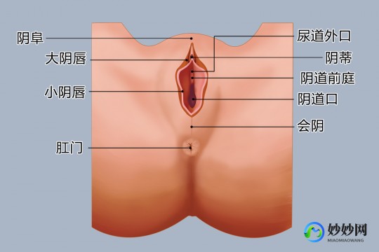 阴图解,构造图名称