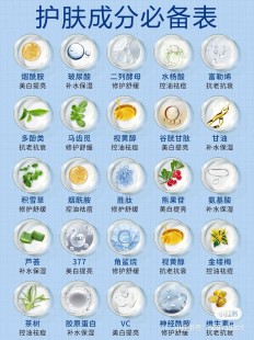 是什么,成分有哪些