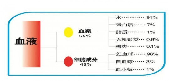 血浆和血液的区别,血浆和血液的区别