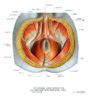 阴构造,构造图名称