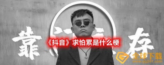 求怕累是什么梗,求怕累是什么梗,求怕累梗解析,网络热词的背后故事与用法
