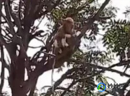 阳性住过的房间如何消毒,新冠病毒患者住过的房间怎么处理