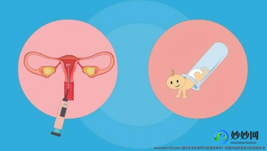 单身女性试管移植_单身女人可以做试管婴儿移植吗