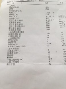 隐血1,隐血十1是什么意思