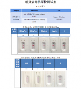 试剂盒检测结果怎么看,新冠病毒自测试剂盒结果