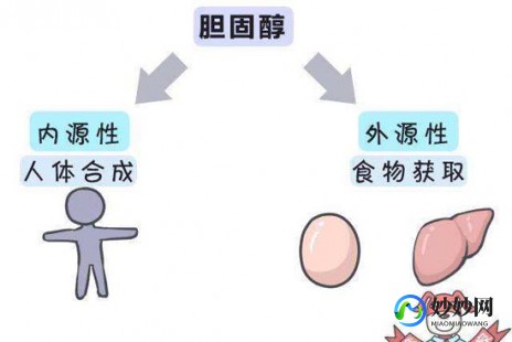 胆固醇底,总胆固醇低是什么原因引起的