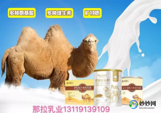 新疆奶粉骆驼奶怎么样,新疆骆驼奶粉怎么样