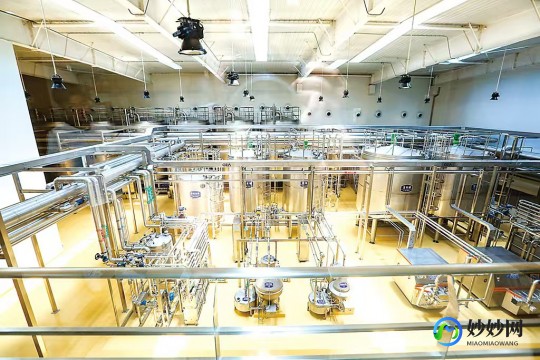 出国新西兰奶粉厂怎么样—出国新西兰奶粉厂工作什么样