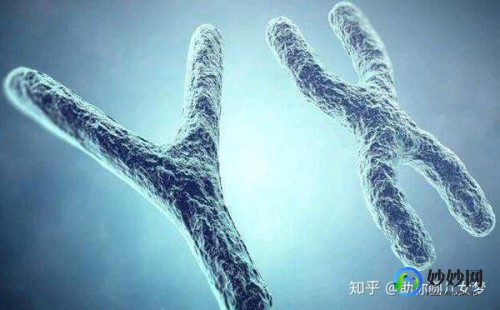 染色体异常试管要几代胚胎8号染色体异常需要几代试管