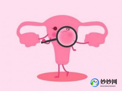 幼稚子宫结构是什么、幼稚子宫是什么意思
