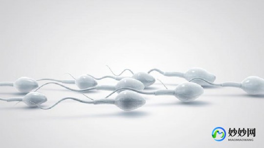 弱精症做人授还是试管好、弱精症做人工授精好还是试管好