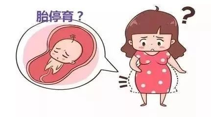一胎试管二胎停胎_一胎自然怀孕二胎试管胎停原因