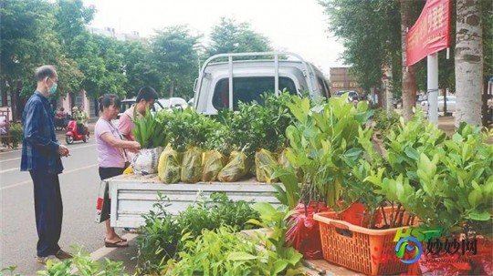 qq农场刷金币,qq农场种什么赚钱快,QQ农场赚钱秘籍,揭秘种植何种作物收益