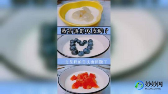 双皮奶粉不加牛奶怎么样(双皮奶粉不加牛奶的味道怎么样)