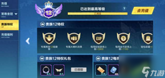 qq飞车紫钻等级,QQ飞车紫钻等级攻略,提升技巧与详解
