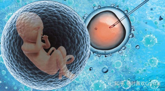 高龄试管婴儿方案试管婴儿长期方案