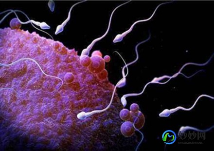 试管男性少精怎么办呢,试管男性精子少怎么办
