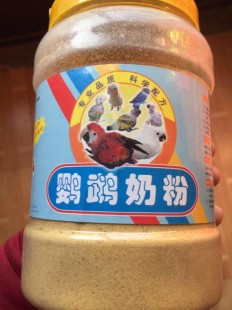 蚌埠鹦鹉奶粉怎么样啊_鹦鹉奶粉是怎么样的