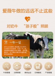 欧亚老年奶粉怎么样(爱薇牛老年奶粉怎么样)