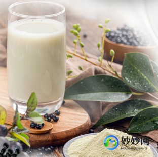 神仙豆奶粉怎么样 龙王豆奶粉怎么样