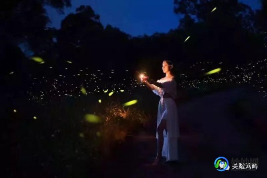 仲夏节任务,wow仲夏节,魔兽世界手游版仲夏节狂欢攻略