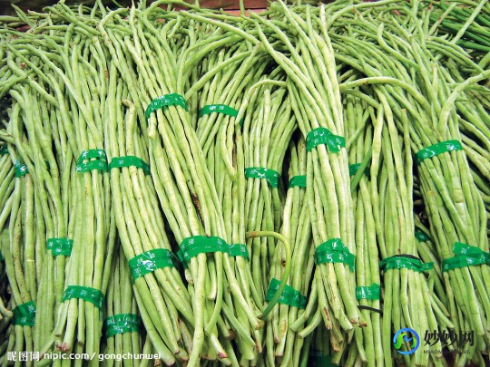 九月青豆角产自哪里,九月青豆角产自哪里,九月青豆角原产地揭秘