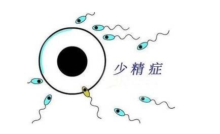 少精弱精怎么做试管_弱精少精症做试管