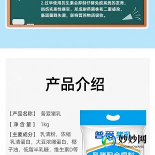 怎么样调小猪奶粉_怎么喂小猪奶粉